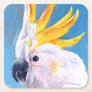 Sök efter mohawk Exotiska fåglar