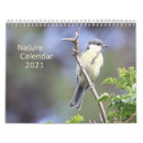 Sök efter naturkalender Fåglar