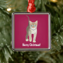 Sök efter katt julgransprydnader För barn