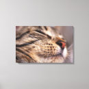 Sök efter djurt posters Närbild