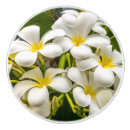 Sök efter lei hem presenter Plumeria