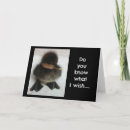 Sök efter ducklings fotografi Anka