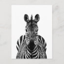 Sök efter afrikan fotografi Safari