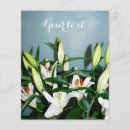 Sök efter trädgården 11x14 reklamblad Blommor