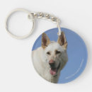 Sök efter tysk herde accessoarer Alsatian