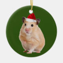 Sök efter hamster julgransprydnader Pajama