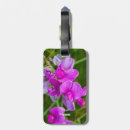 Sök efter rosa orchid accessoarer Blomma