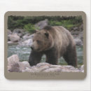 Sök efter grizzly elektronik Grizzbjörn