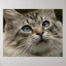 Sök efter tittar kameran posters Vågrät
