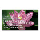 Sök efter lotus flower Rosa