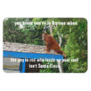 Sök efter julskämt kort Konstig