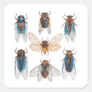 Sök efter insekt klistermärken Entomologi