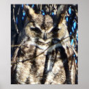 Sök efter wildlife posters Majestät