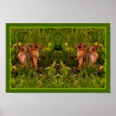 Sök efter baby djur posters Söt