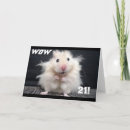 Sök efter hamster fotografi För alla