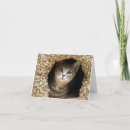 Sök efter klicka kort Kattunge