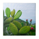 Sök efter prickly pear Öken