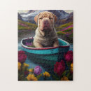 Sök efter sharpei Husdjur