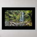 Sök efter rainforest posters Skog