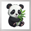 Sök efter panda tecknad posters Bära