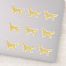 Sök efter retriever hobbymaterial Valp