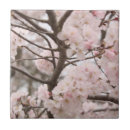 Sök efter japanskt träd kakelplattor Sakura