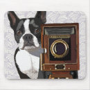 Sök efter fotograf elektronik Hund