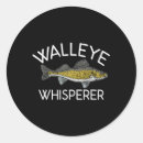 Sök efter walleye som fiskar Glasögonfiske
