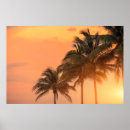 Sök efter florida posters Semester