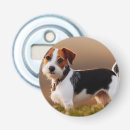 Sök efter jack russel Skräckare