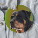 Sök efter äta knappar For pets