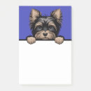 Sök efter älska min yorkshire terrier Människor (allmänt)