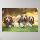 Sök efter hundvalp posters Baby djur