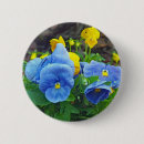 Sök efter gul pansy Blommigt
