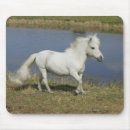 Sök efter rinnande vatten Miniatyr