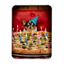 Sök efter humor birthday magneter Söt