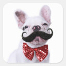 Sök efter mustache fyrkantiga klistermärken Mustasch
