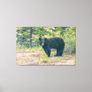Sök efter bär canvastryck Natur
