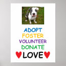Sök efter hund för skydd posters Adoptera