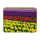 Sök efter tulpan magneter Blommor