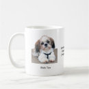 Sök efter min shih tzu muggar Människor (allmänt)