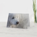 Sök efter eskie kort Hund