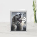 Sök efter woof fotografi Människor (allmänt)
