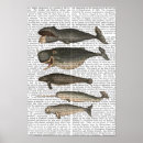 Sök efter val djur posters Vintage