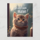 Sök efter lite kattunge Kattungar
