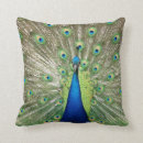 Sök efter påfågel kuddar Färgrikt