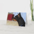 Sök efter klämma fast kort Pinscher