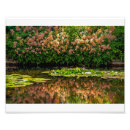 Sök efter giverny posters Blommor