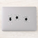 Sök efter spindel hobbymaterial Insekt