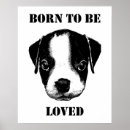 Sök efter pet posters Hundälskare
